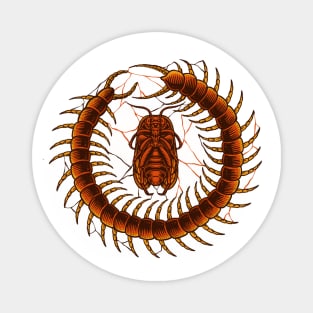 centipede cockroach Magnet